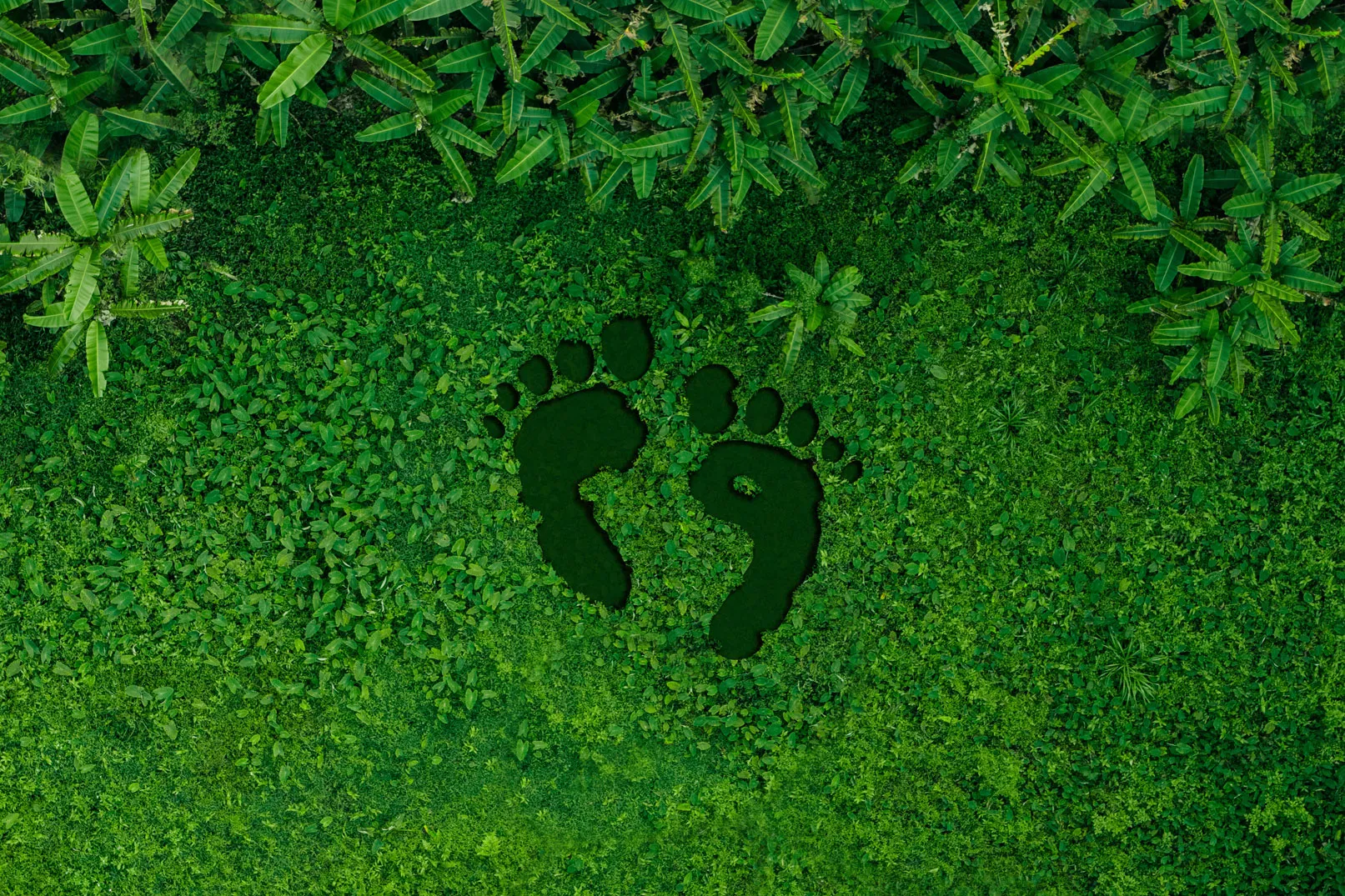 Kurumsal Karbon Ayak İzi Hesaplama Tool’u