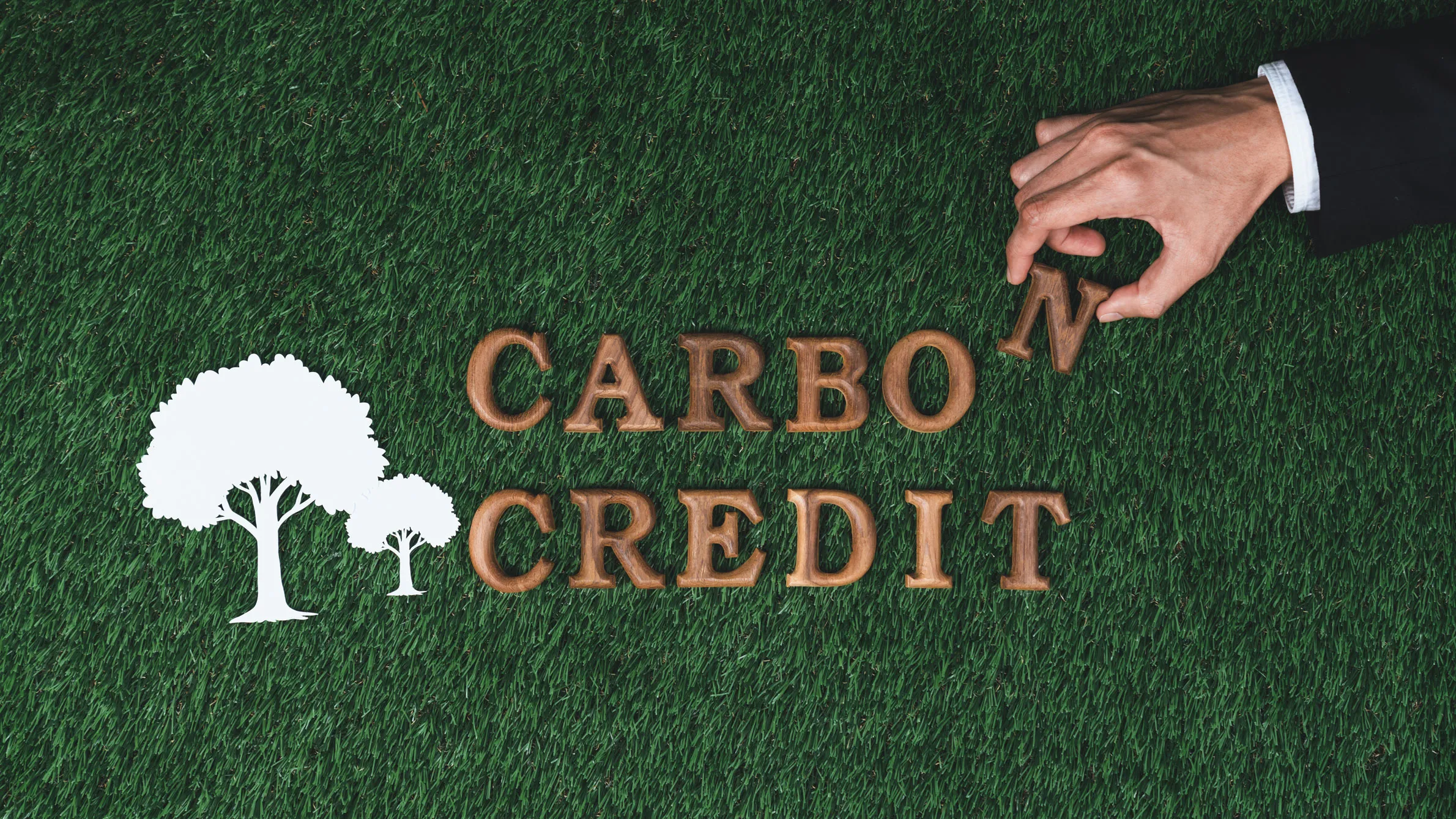 Karbon Kredilendirme Süreçleri ve Ticaretine İlişkin Hizmetler