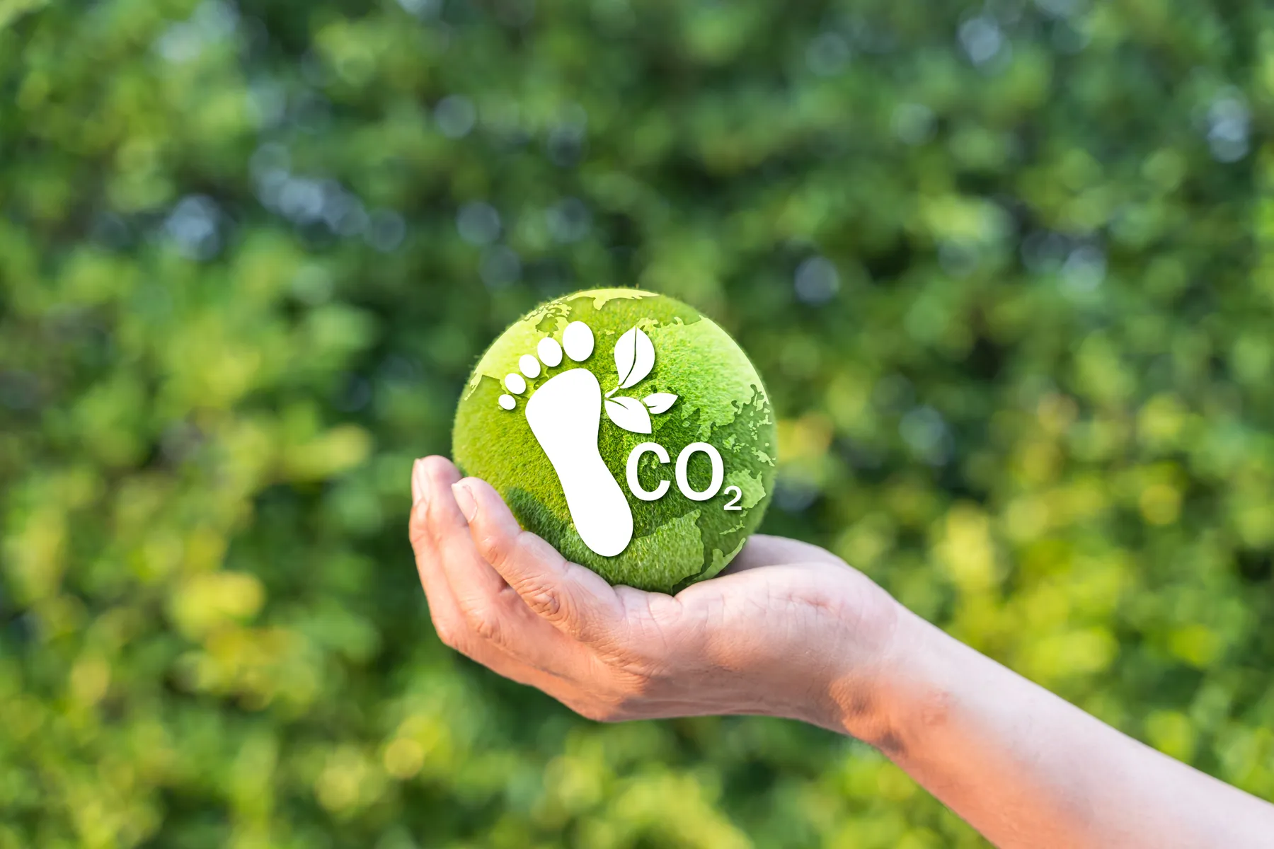 Ürün Karbon Ayak İzi