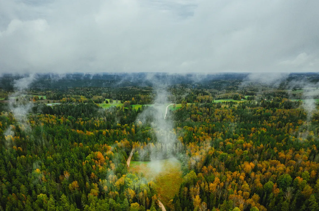 Sera Gazı Mevzuat Danışmanlığı